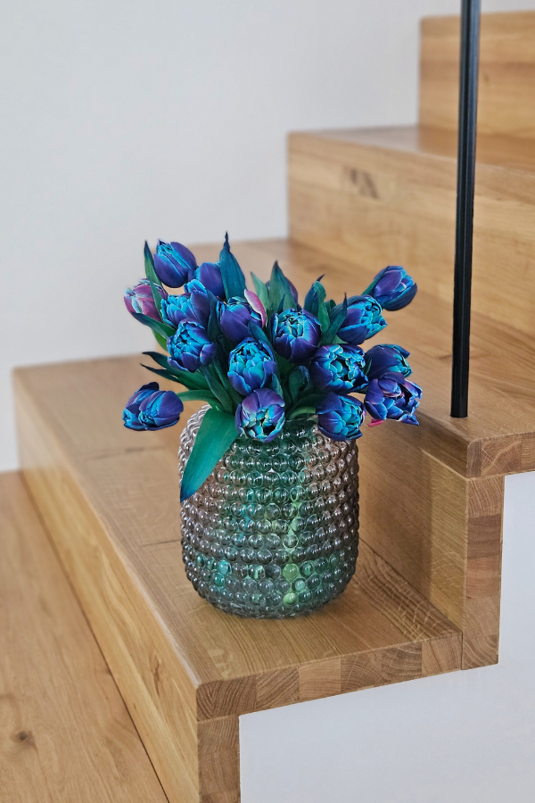 Tulpen Double Bubble – Gefärbtes Premium-Bund (10 Stück)