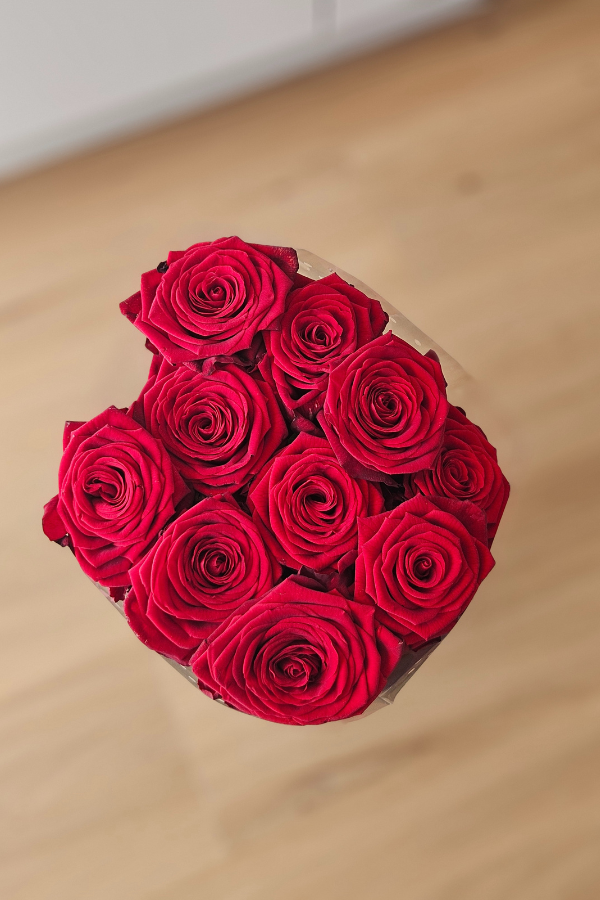 10 Rote Rosen – Red Naomi – 60 cm – Premium Qualität