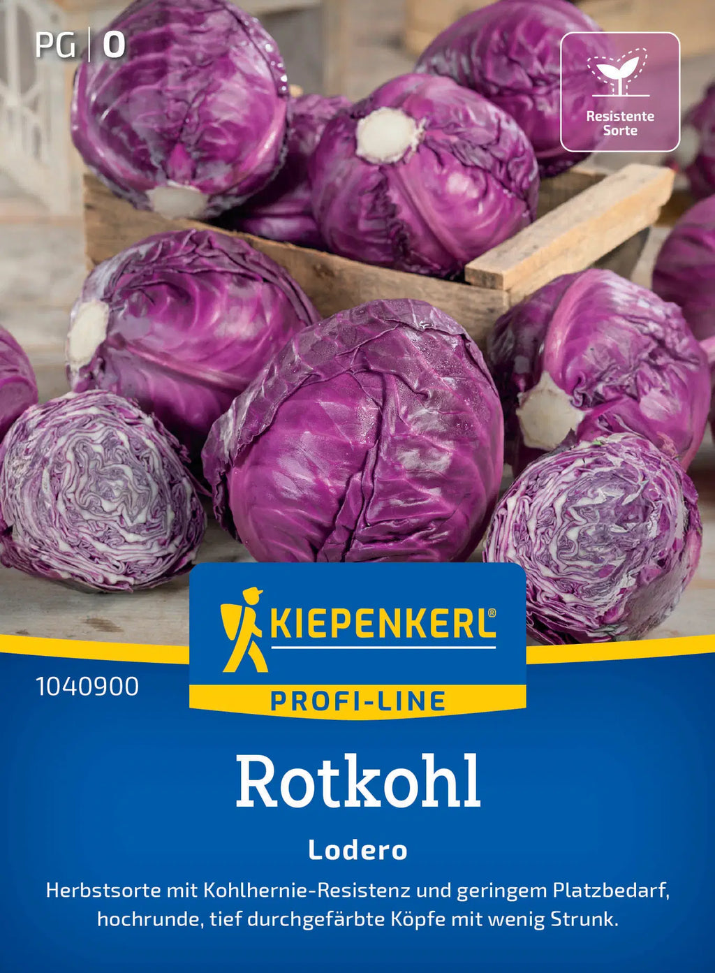 Rotkohl ‘Lodero’ F1 – Samen