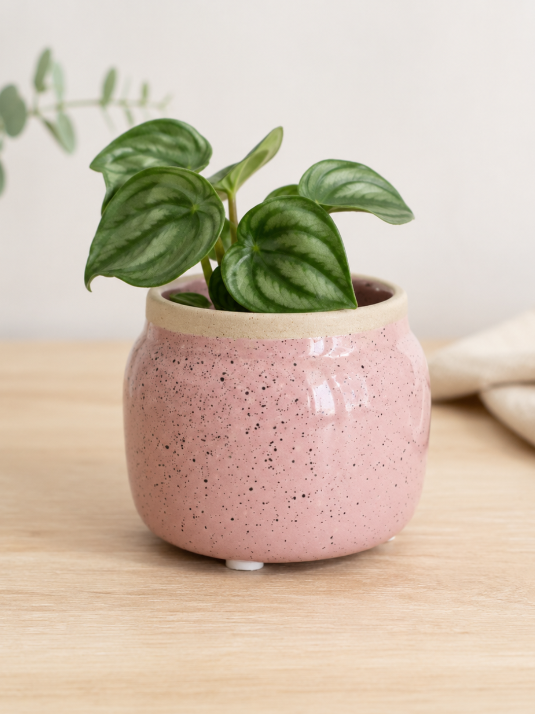 Keramiktopf Rosa Vintage gesprenkelt – 6 cm Übertopf für kleine Zimmerpflanzen & Orchideen